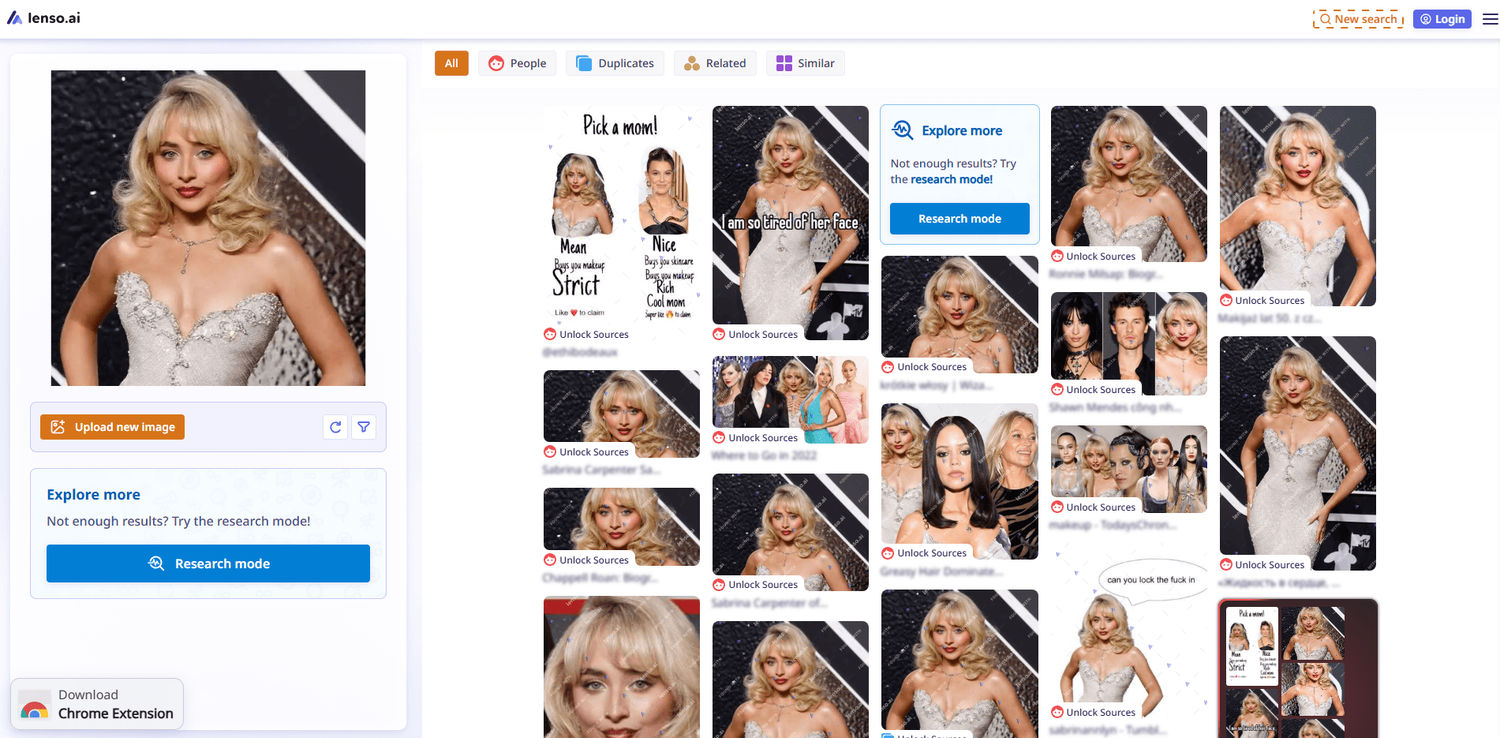 Sample of lenso.ai’s reverse image search result