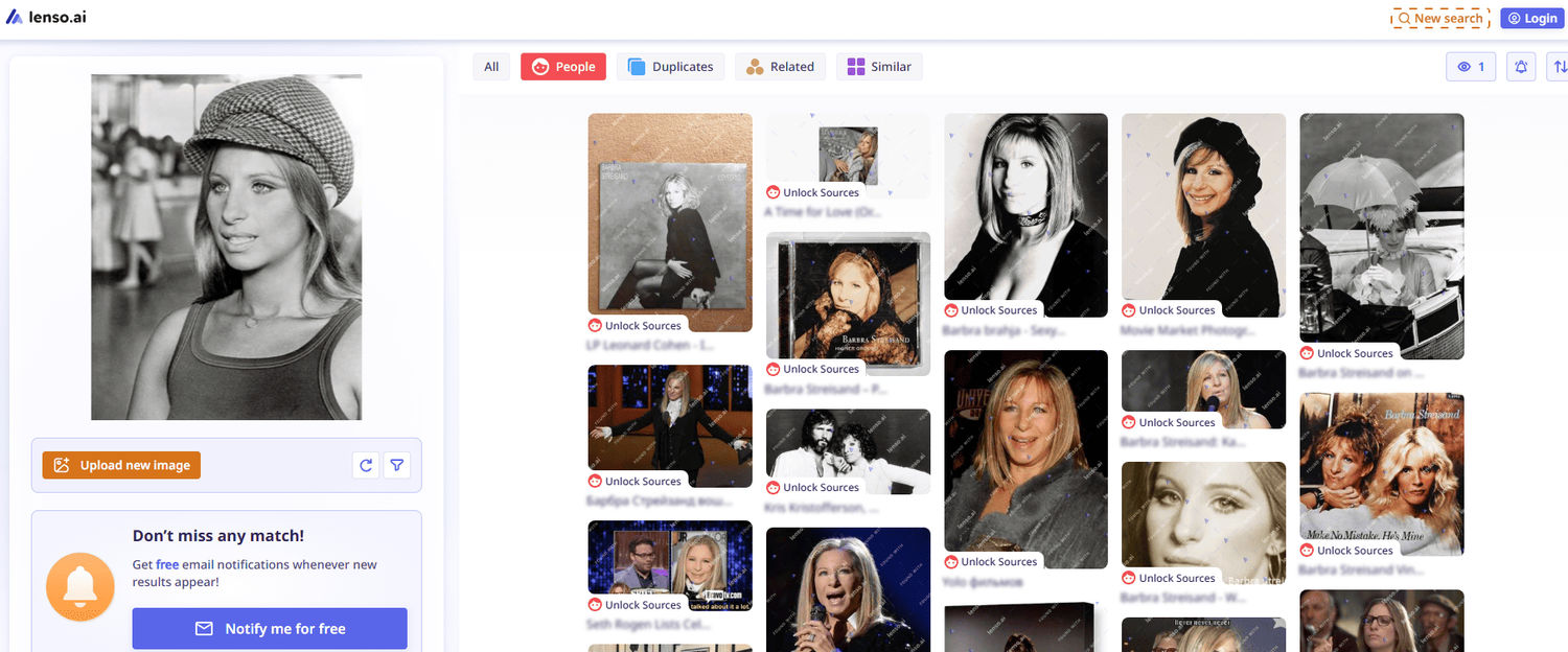 best-online-investigation-tool-lenso-ai