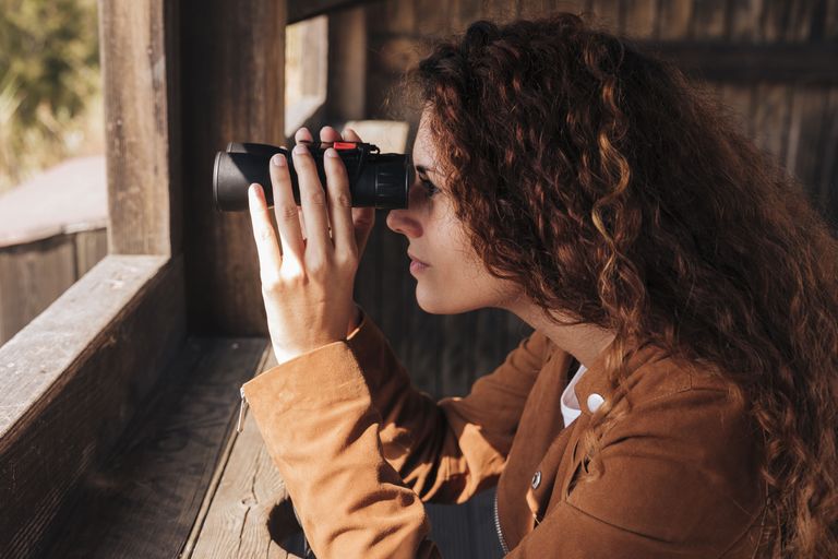 Best Visual Search Tools in 2026: Tineye, lenso.ai & More