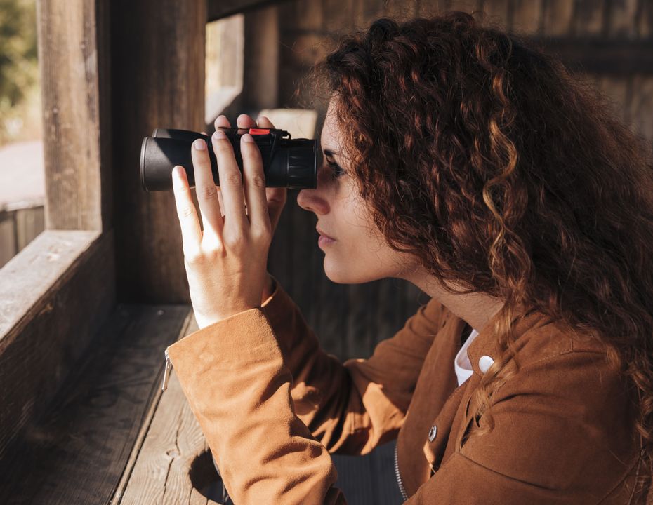 Best Visual Search Tools in 2026: Tineye, lenso.ai & More