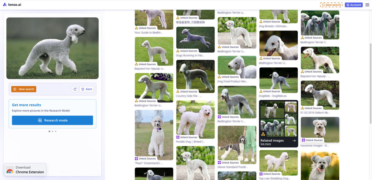 Resultados de búsqueda de imágenes en Lenso.ai para un Bedlington Terrier
