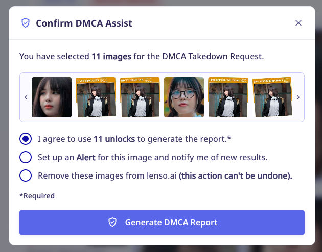 Bestätigungsoptionen des DMCA-Assistenten