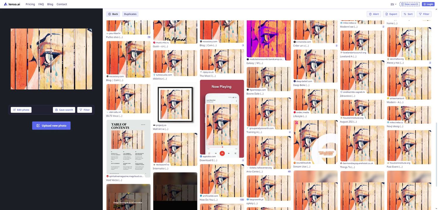 lenso.ai duplicates search