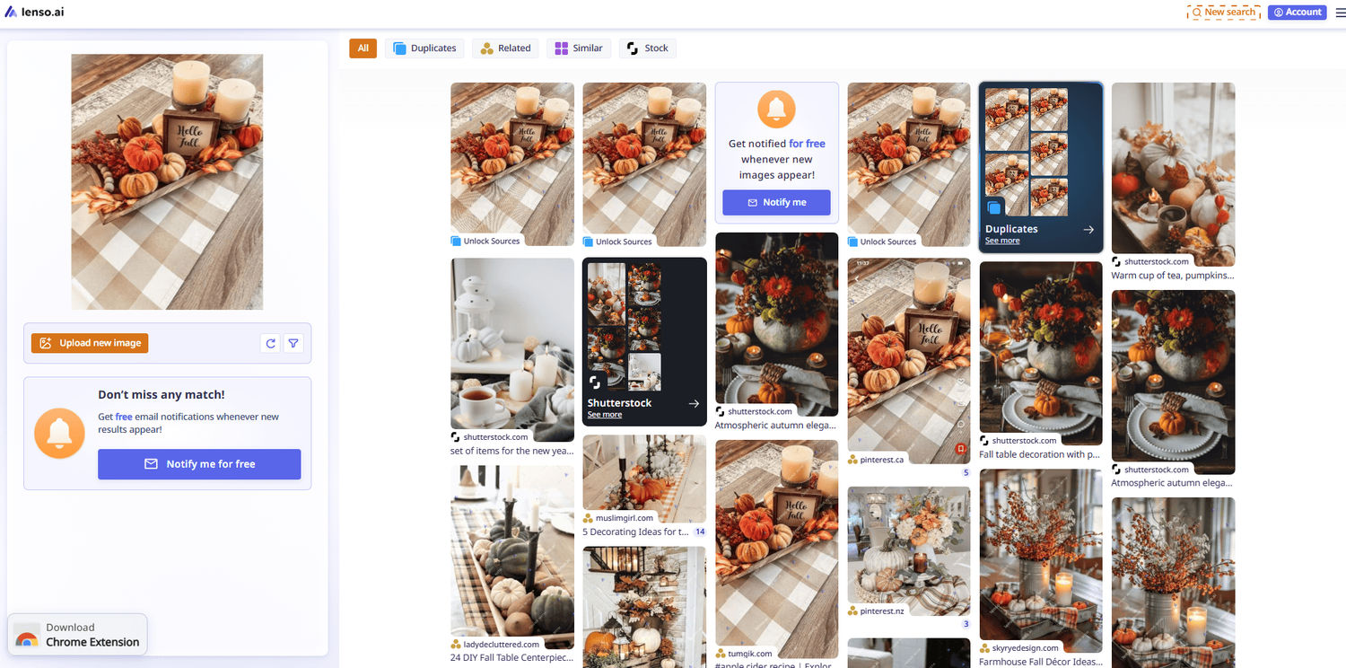 find-fall-inspiration-wth-lenso
