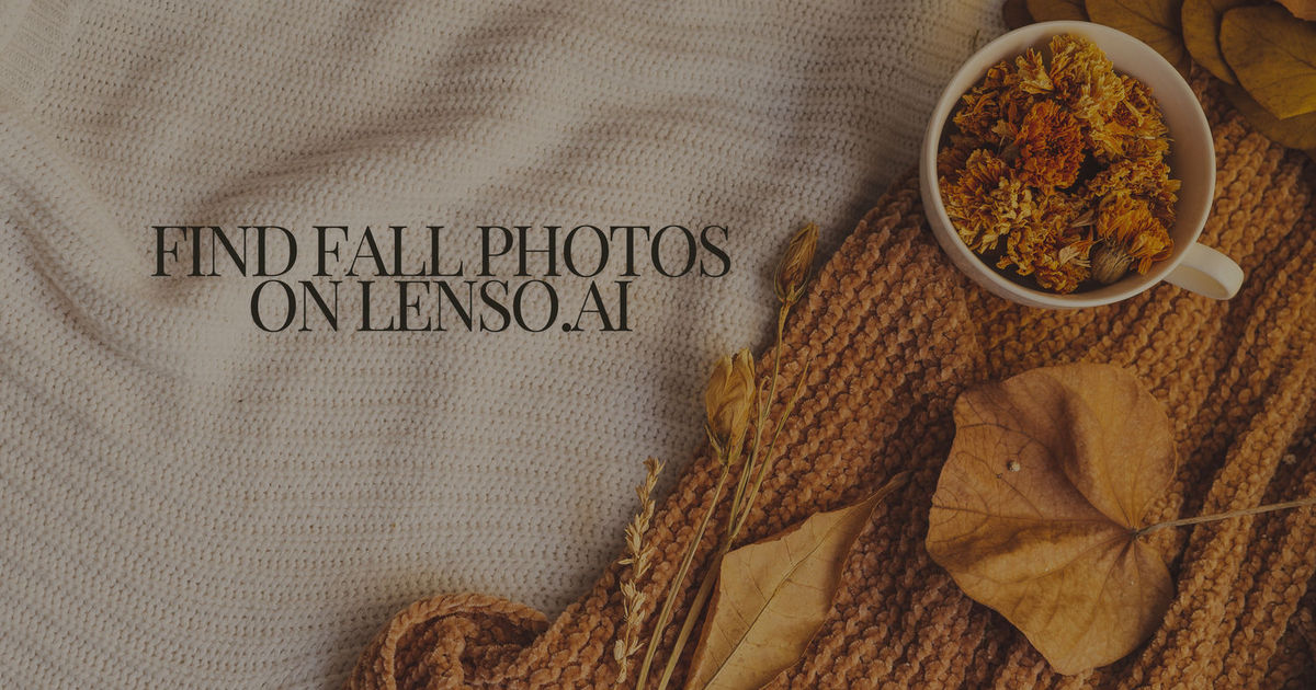 Find fall images with reverse image search tool - lenso.ai
