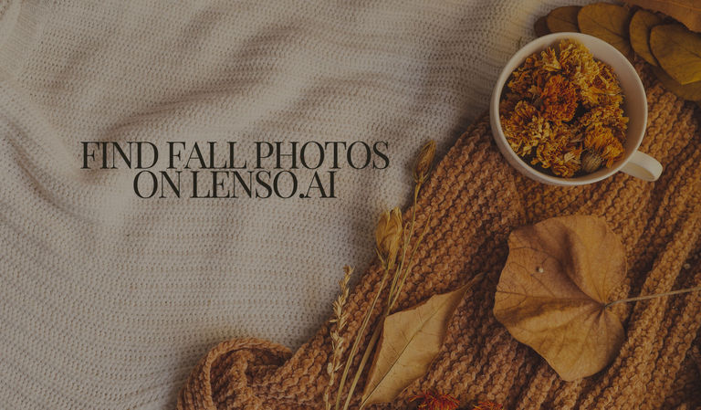 Find fall images with reverse image search tool - lenso.ai