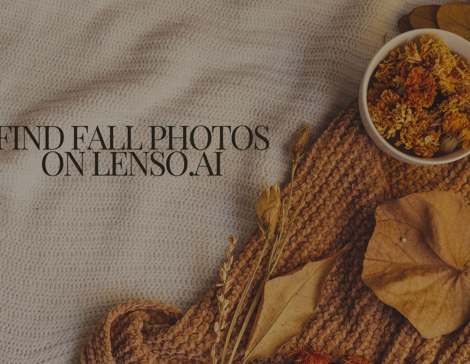 Find fall images with reverse image search tool - lenso.ai