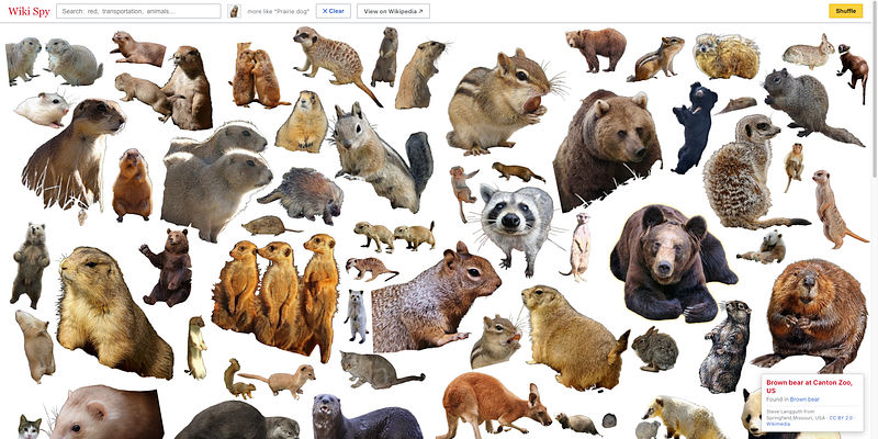 Screenshot of Neal.fun Wiki Spy with many animal images from Wikipedia