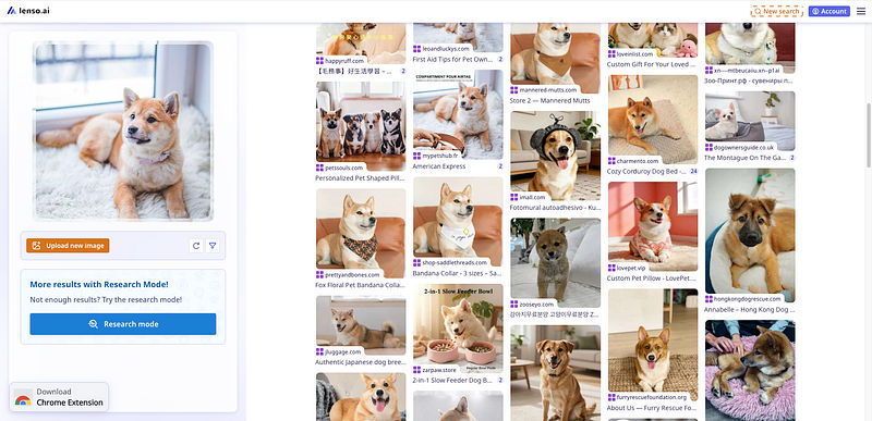 Screenshot of lenso.ai showing similar dog photo search results