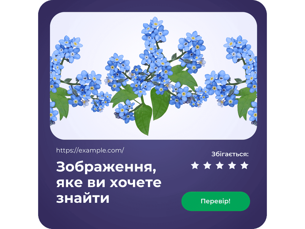 перегляд lenso.ai