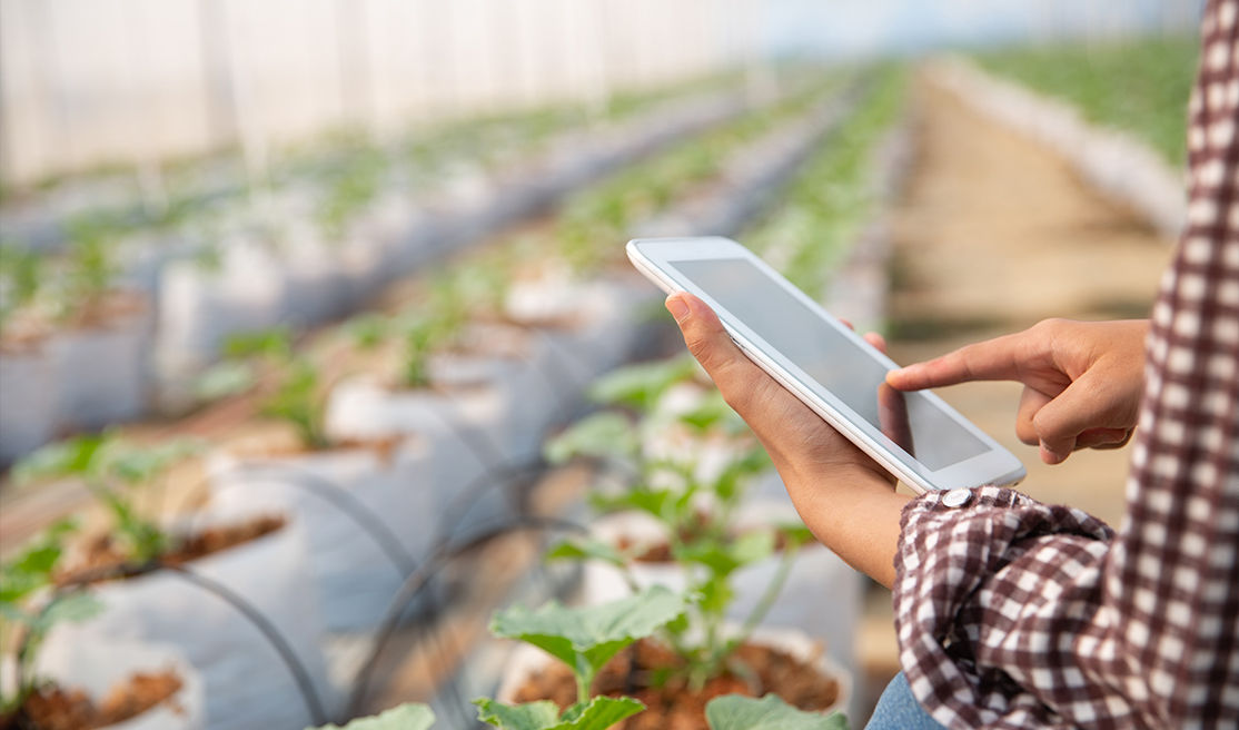 plant-health-monitoring-ai