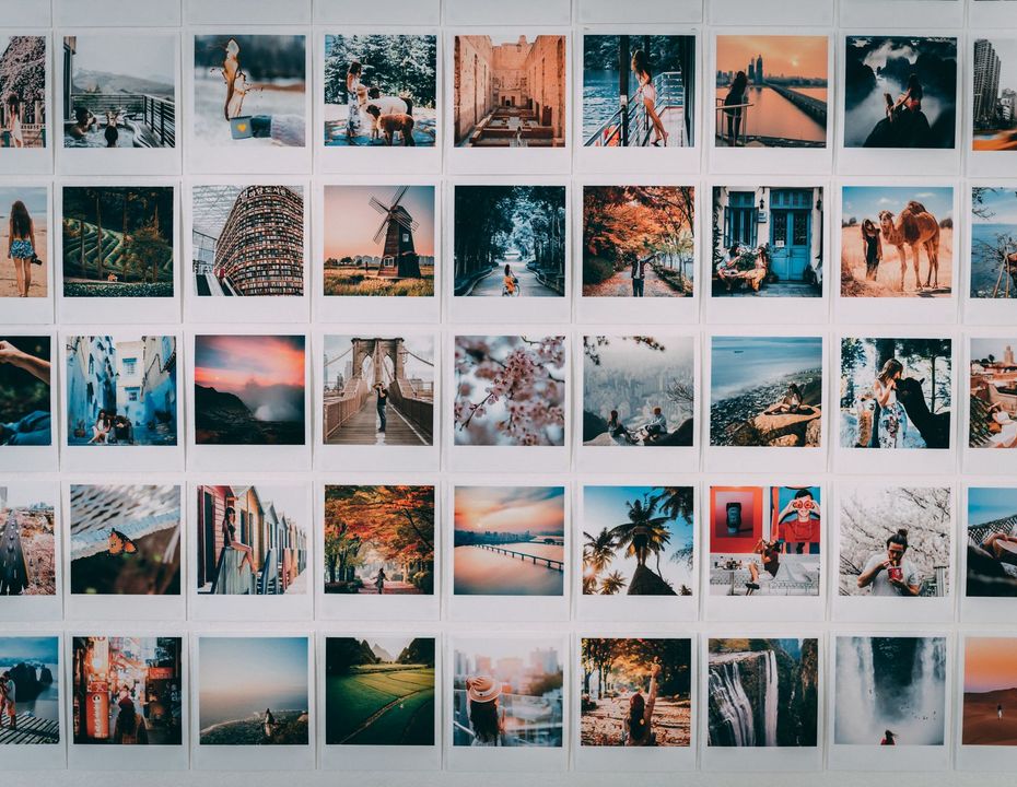8 Best Reverse Image Search Tools in 2026