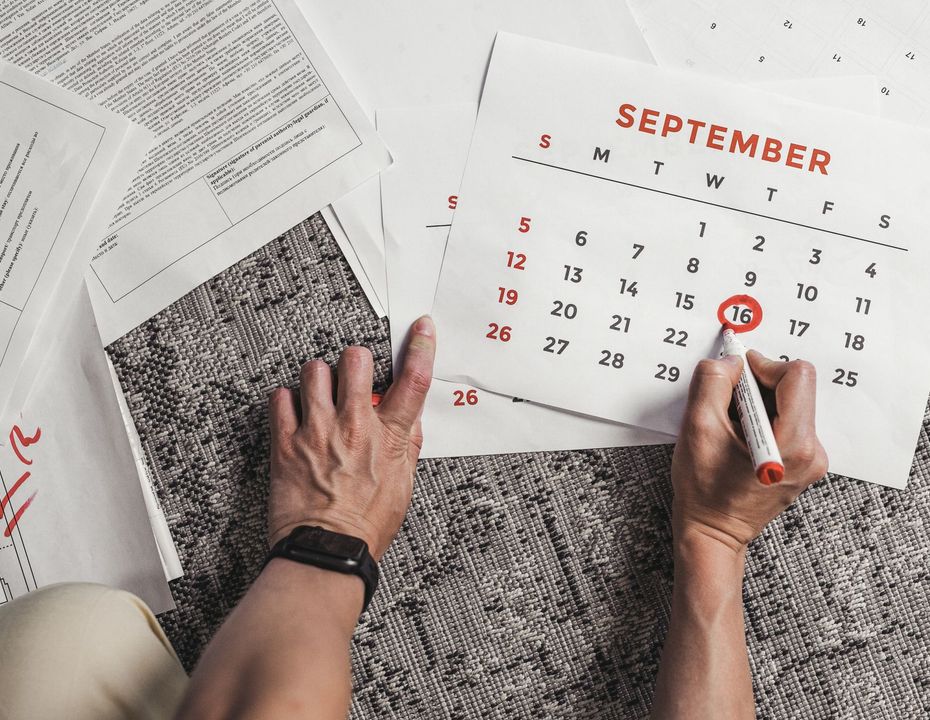 Puntuaciones de similitud y fechas de indexación en Lenso.ai | ¿Cómo funcionan?
