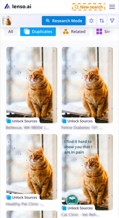 lenso phone duplicates