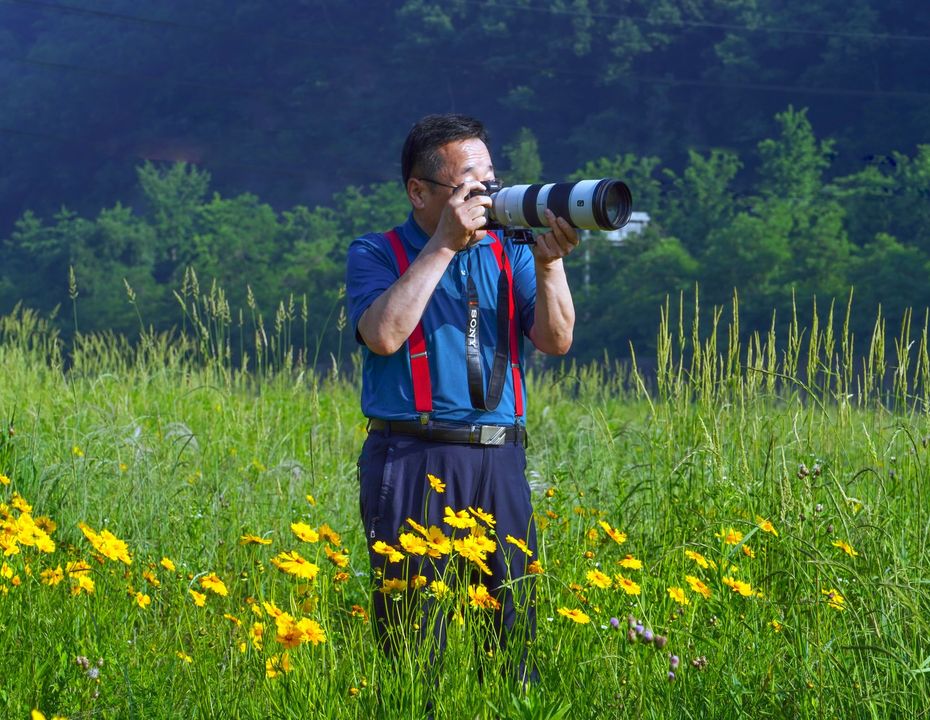 Mesin Pencari Gambar Terbalik Terbaik untuk Fotografer: Siapkan Notifikasi Hak Cipta!