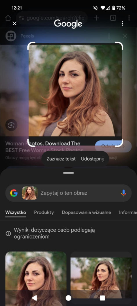 google-reverse-image-search