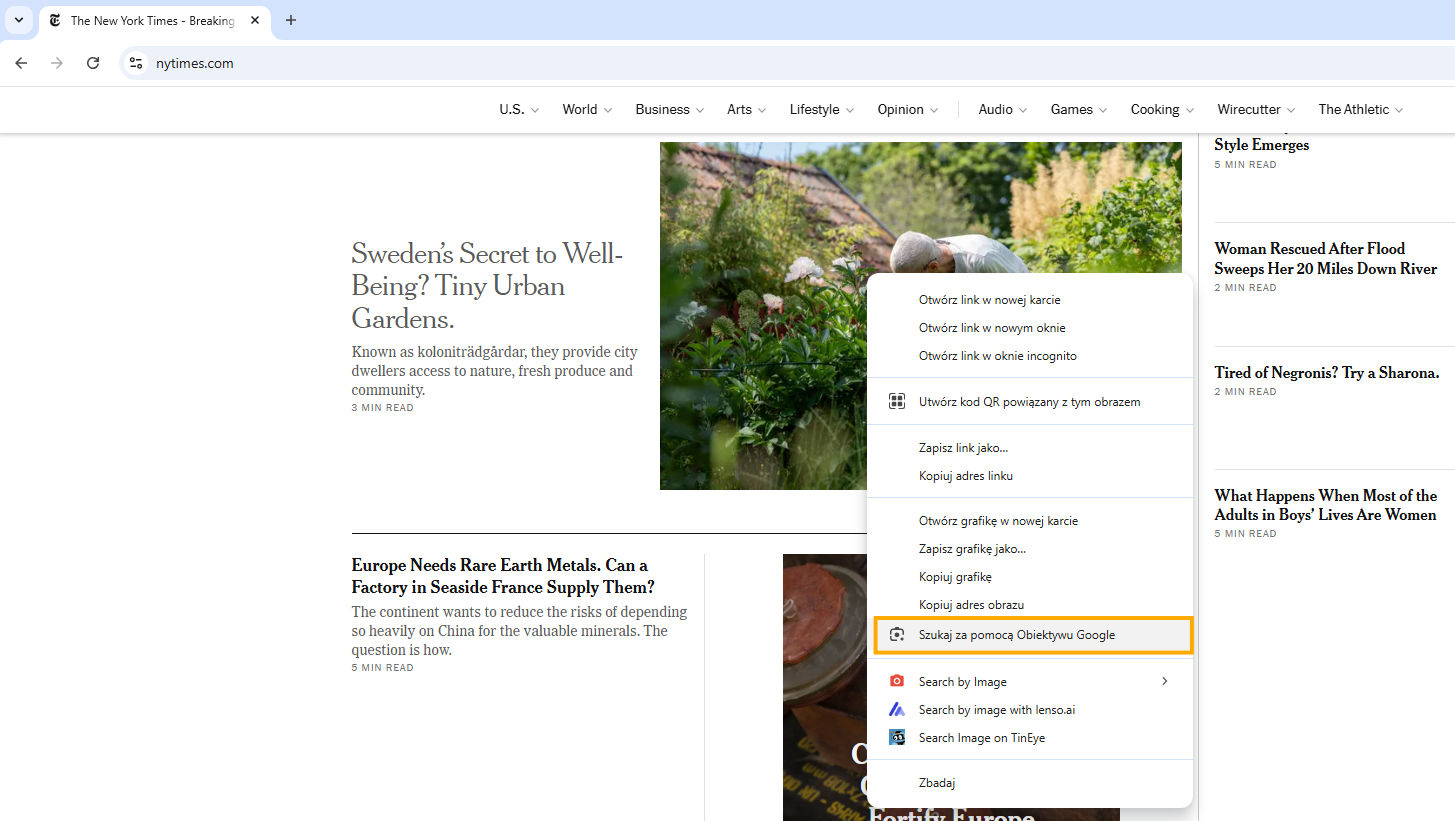 google-reverse-image-search