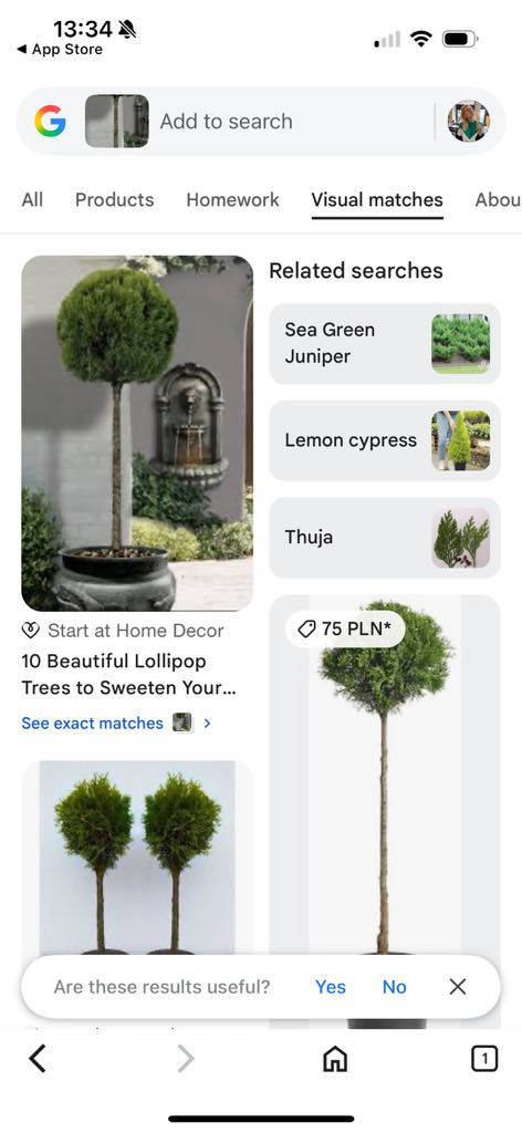 google-reverse-image-search