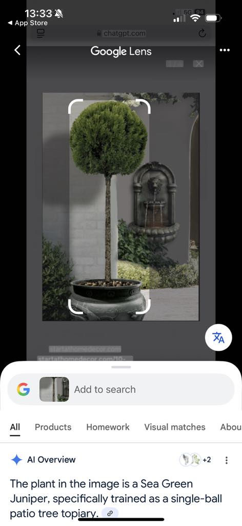 google-reverse-image-search