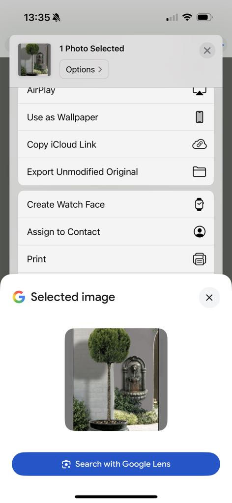 google-reverse-image-search
