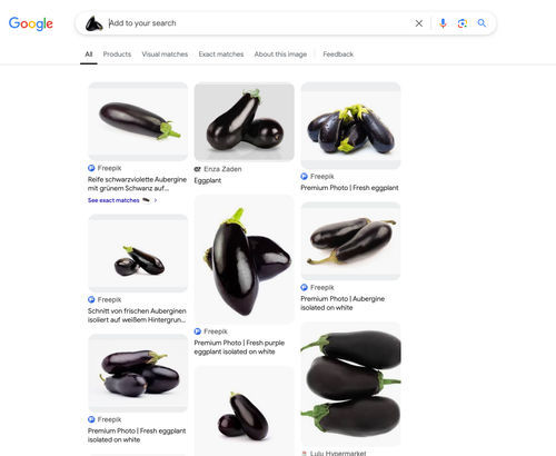 eggplant Google Lens