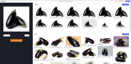 eggplant lenso.ai