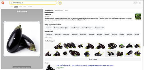 eggplant Yandex